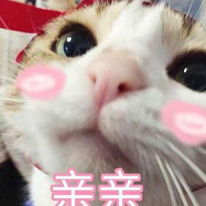 久久精品人成免费
